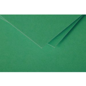 Busta C6 Polline 120g verde abete
