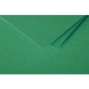 Busta C6 Polline 120g verde abete