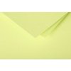 Busta C6 Polline 120g verde germoglio