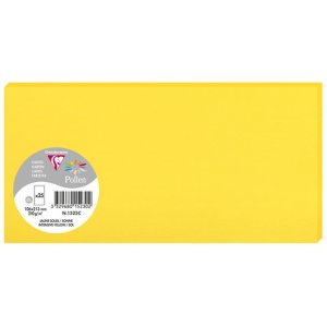 Confezione 25 carte polline, DL 106x213mm, 210g sonne