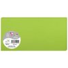 Confezione 25 cartoncini Polline, DL 106x213mm, 210g menta