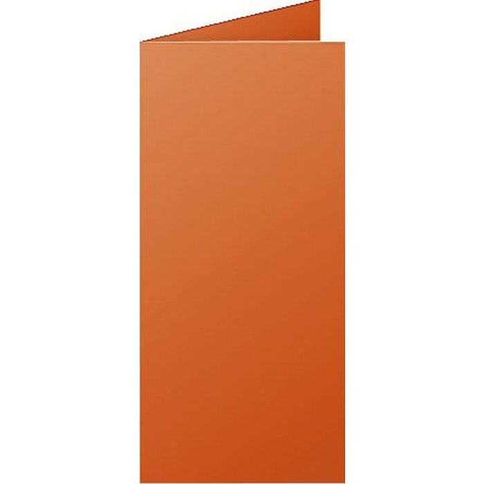 Confezione da 25 cartoncini doppi Polline, DL 106x213mm, 210g