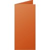 Confezione da 25 cartoncini doppi Polline, DL 106x213mm, 210g
