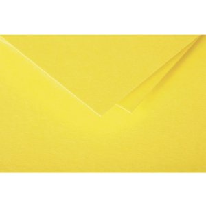 Busta DL Polline 120g Sole