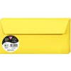 Busta DL Polline 120g Sole