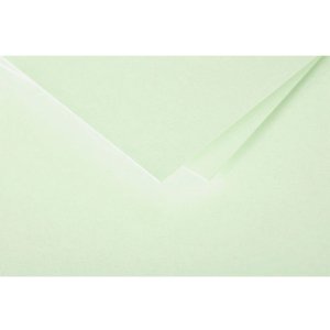 Confezione da 20 buste Polline, C5 162x229mm, 120g verde