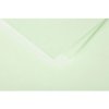 Confezione da 20 buste Polline, C5 162x229mm, 120g verde