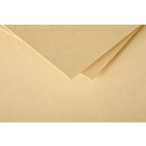 Busta Polline 20 pezzi caramello 75x100 mm 120g
