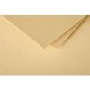 Busta Polline 20 pezzi caramello 75x100 mm 120g
