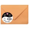 Busta polline 20 pezzi clementina 75x100 mm 120g