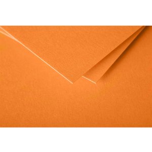 Busta Polline 20 pezzi rosso cappuccino 75x100 mm 120g