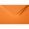 Busta Polline 20 pezzi rosso cappuccino 75x100 mm 120g