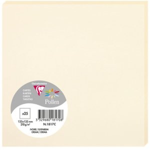 Confezione da 25 cartoncini Polline, 135x135mm, 210g avorio
