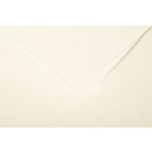 Confezione da 25 cartoncini Polline, 135x135mm, 210g avorio
