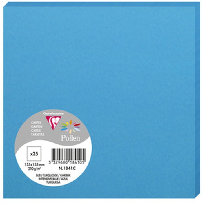 Confezione da 25 cartoncini Polline, 135x135mm, 210g turchese