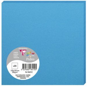 Confezione da 25 cartoncini Polline, 135x135mm, 210g...