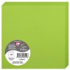 Carta doppia Polline 135x135 menta