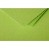 Carta doppia Polline 135x135 menta