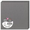 Scheda doppia Polline 135x135 color acciaio