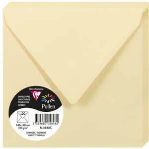 Busta Polline 20 pezzi camoscio 140x140 mm 120g