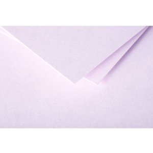 Busta Polline 20 pezzi lilla 140x140 mm 120g
