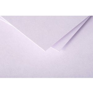 Busta polline 20 pezzi glicine 140x140 mm 120g