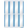 16 etichette con nome in acetato di seta bianco-blu