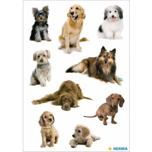 carino cane adesivi razze diverse da decorazione