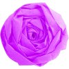 Rotolo di carta crespa fucsia - 95103C Clairefontaine
