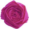 Rotolo di carta crespa rosso opera - 95108C Clairefontaine