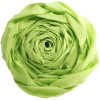 Rotolo di carta crespa verde mela - 95119C Clairefontaine