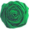 Rotolo di carta crespa verde pino - 95174C Clairefontaine