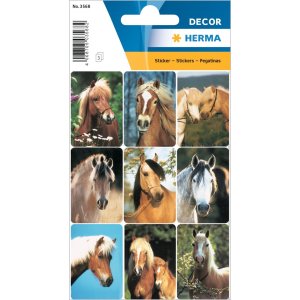 bellissimi adesivi con facce di cavalli da decorazione