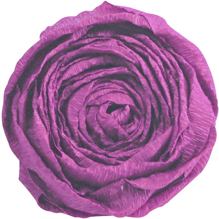 10 fogli di carta crespa bordeaux 200x50 cm