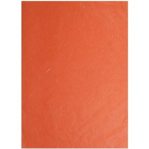 Confezione Seta di paglia, 65x95cm, 10 fogli, 35g -...