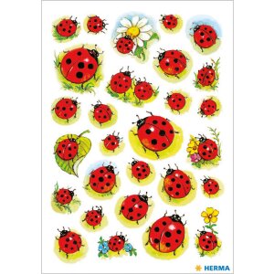 Coccinelle carine con fiori per decorazione