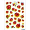 Coccinelle carine con fiori per decorazione