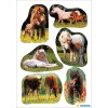 Adorabili foto di cavalli come adesivi da DECOR