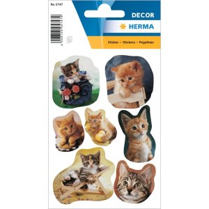 adesivi gattino giocoso da decorazione