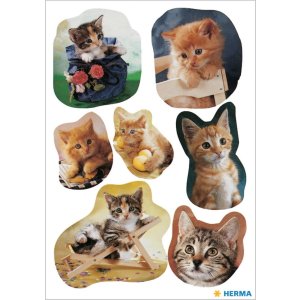 adesivi gattino giocoso da decorazione