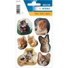 adesivi gattino giocoso da decorazione