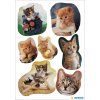 adesivi gattino giocoso da decorazione