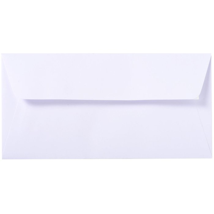 Buste VÉLIN DE FRANCE bianche 220x110 mm - 46700L