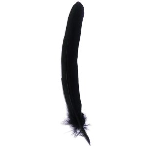 Penna doca, lunghezza 28 cm - blu