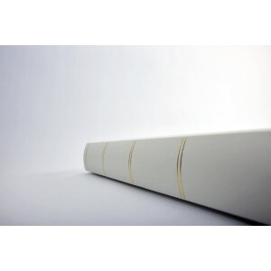 Walther Photo Album MONZA 33x34 cm bianco 60 fogli bianchi