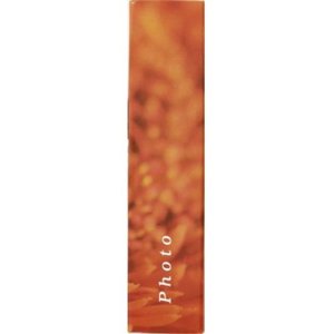 Singo 200 foto 10x15 cm insert album arancione