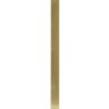 Cornice in plastica Madrid 13x18 cm oro