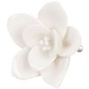 Clayre & Eef 61916 Pomello per porta Fiori Ø 5,5 cm in ceramica beige
