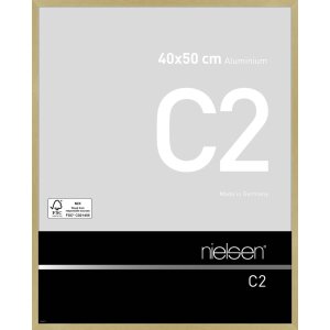 Nielsen Telaio in alluminio C2 40x50 cm struttura oro opaco
