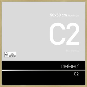 Nielsen telaio in alluminio C2 50x50 cm struttura oro opaco